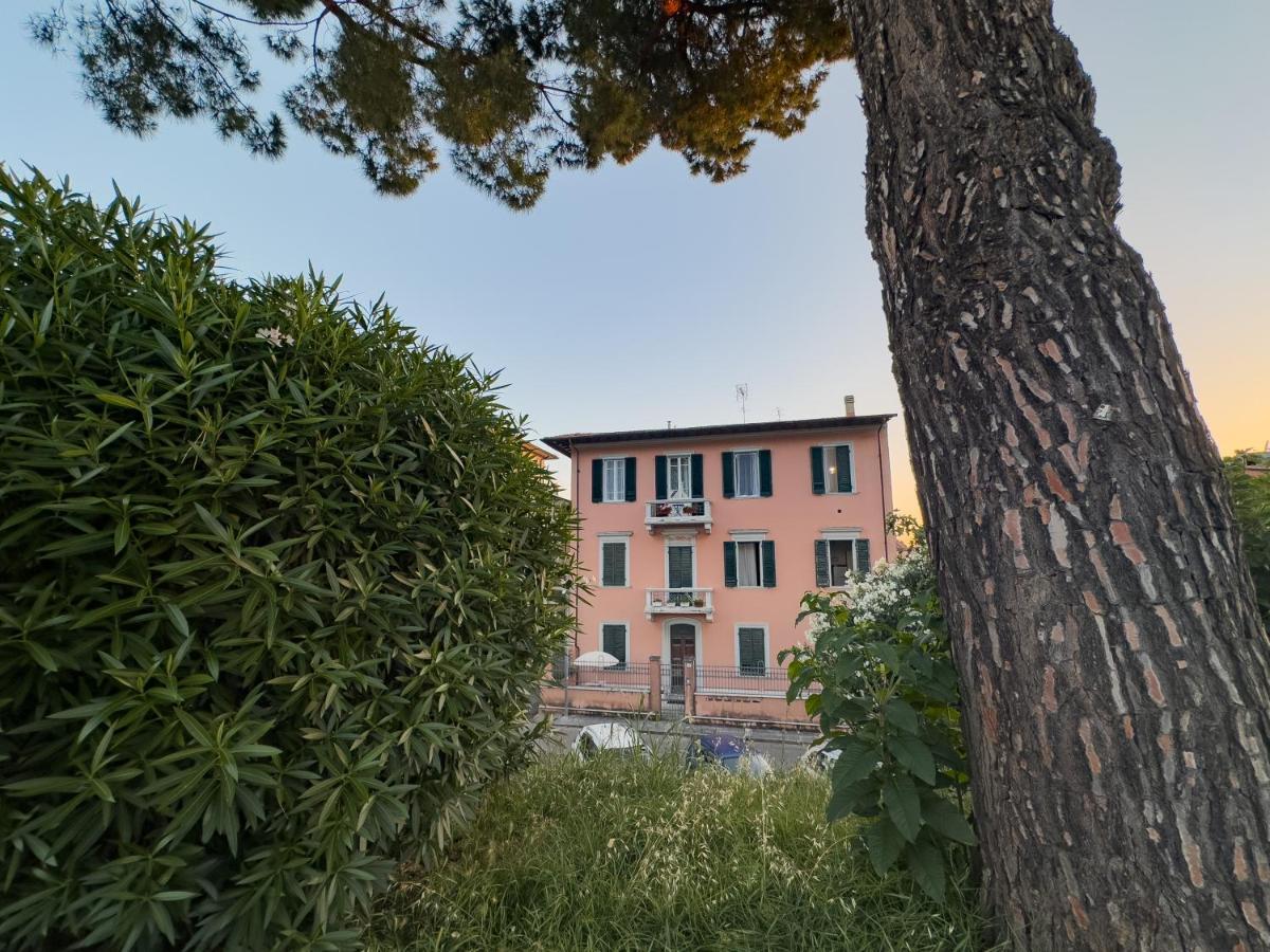 La Casa Di Eli Appartamenti Pisa Exteriör bild